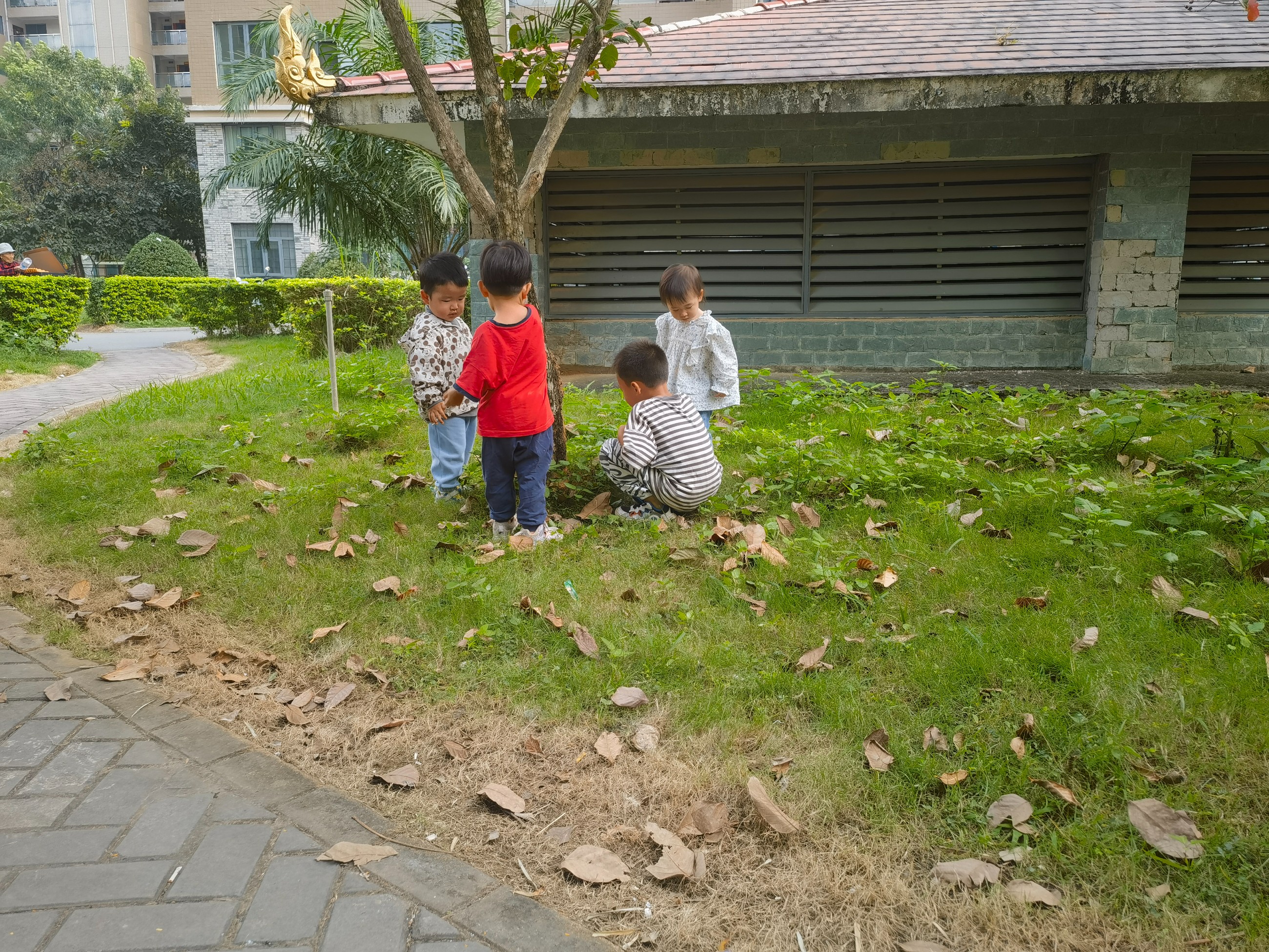 图片关键词