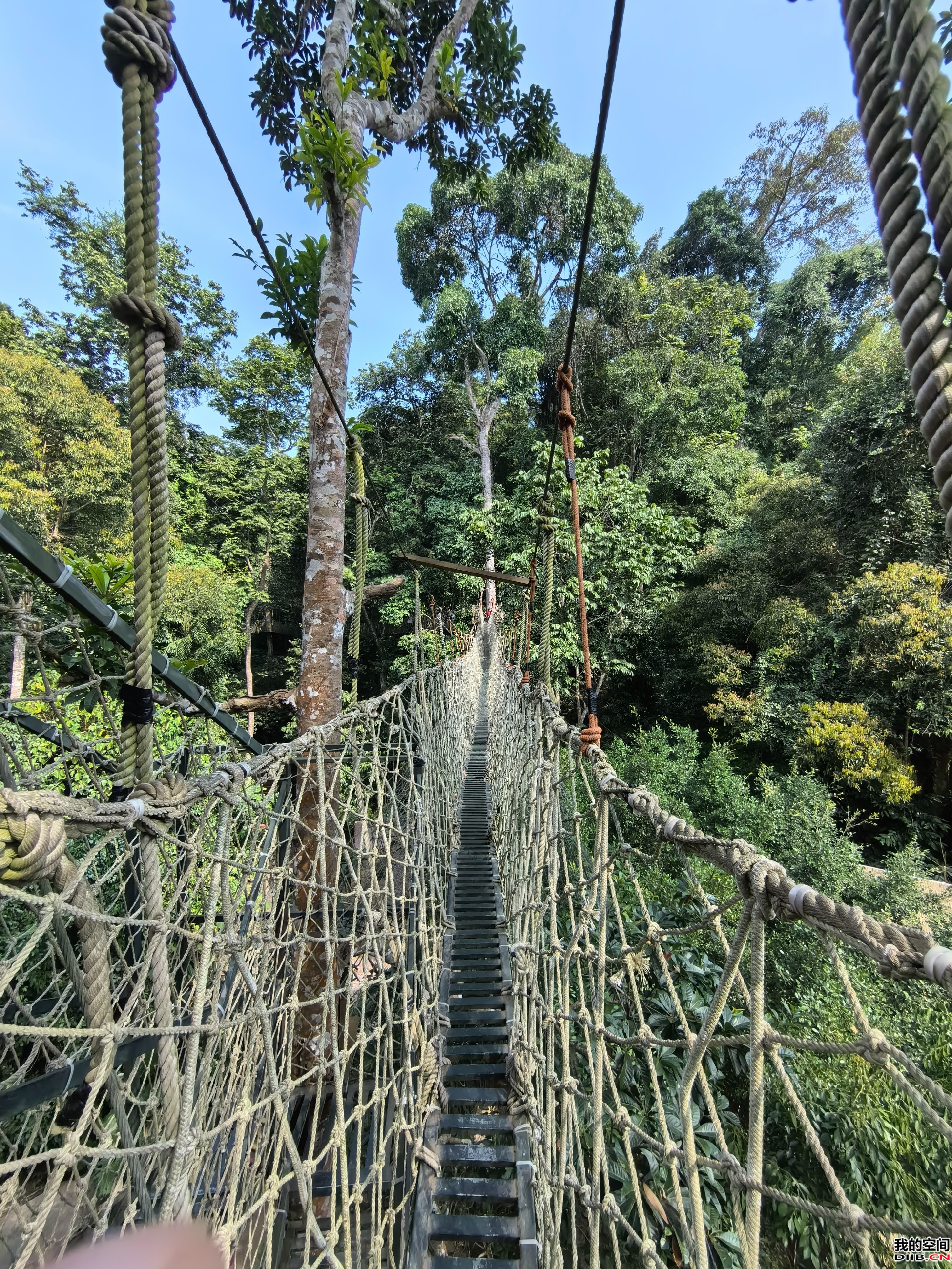 图片关键词