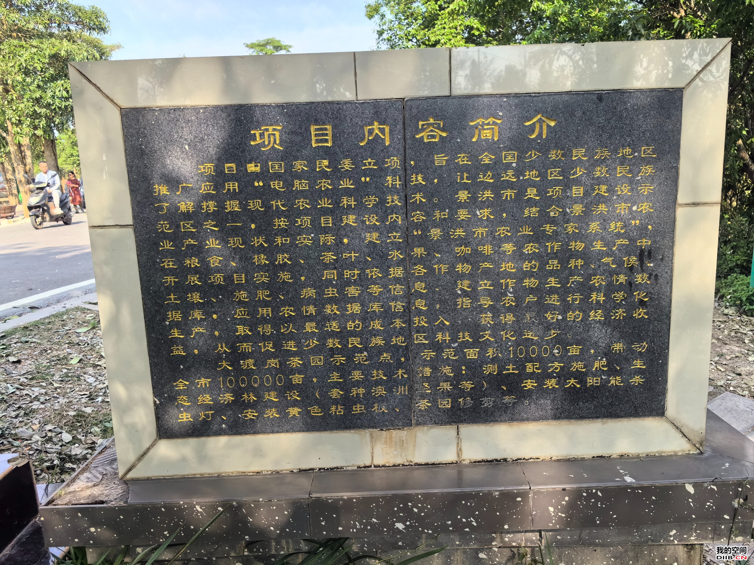 图片关键词