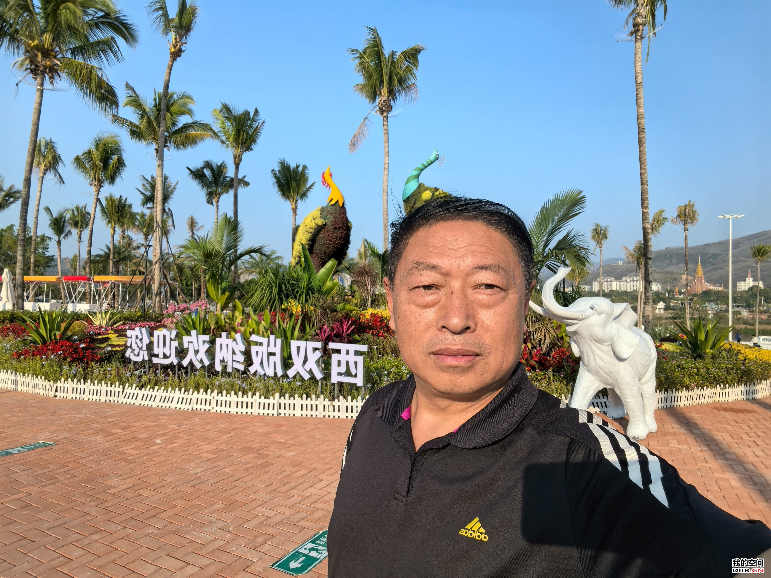 图片关键词