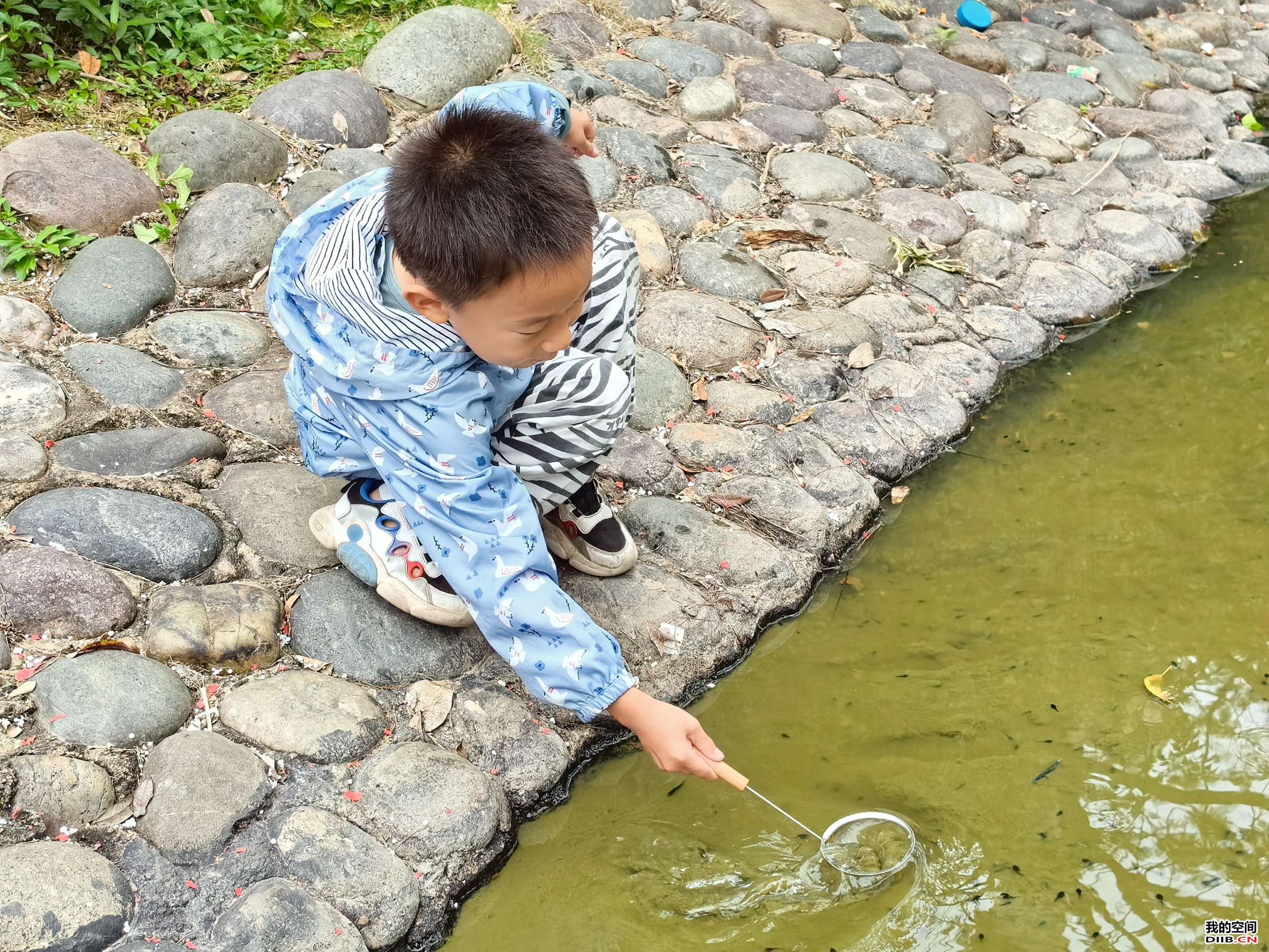 图片关键词