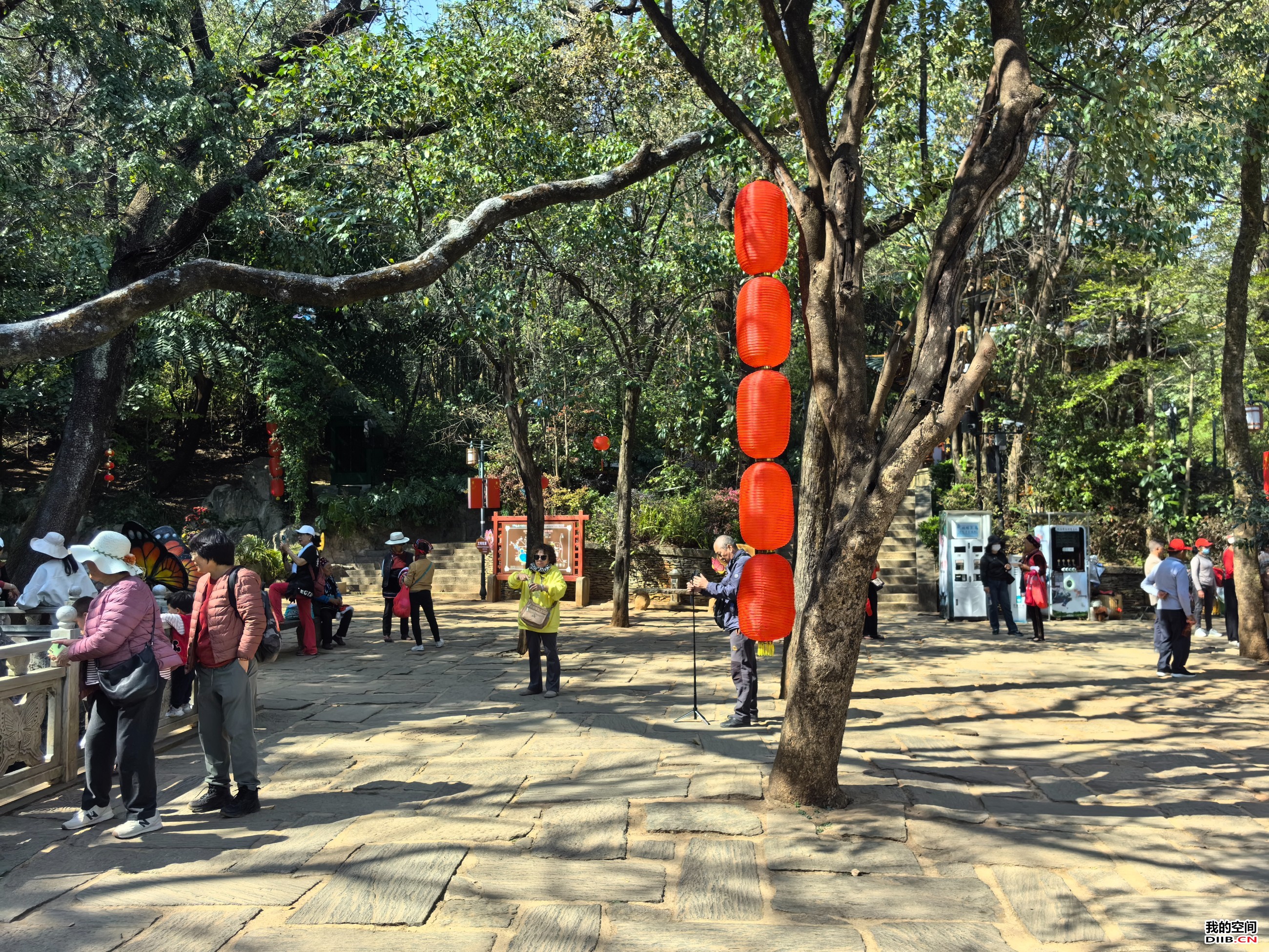图片关键词