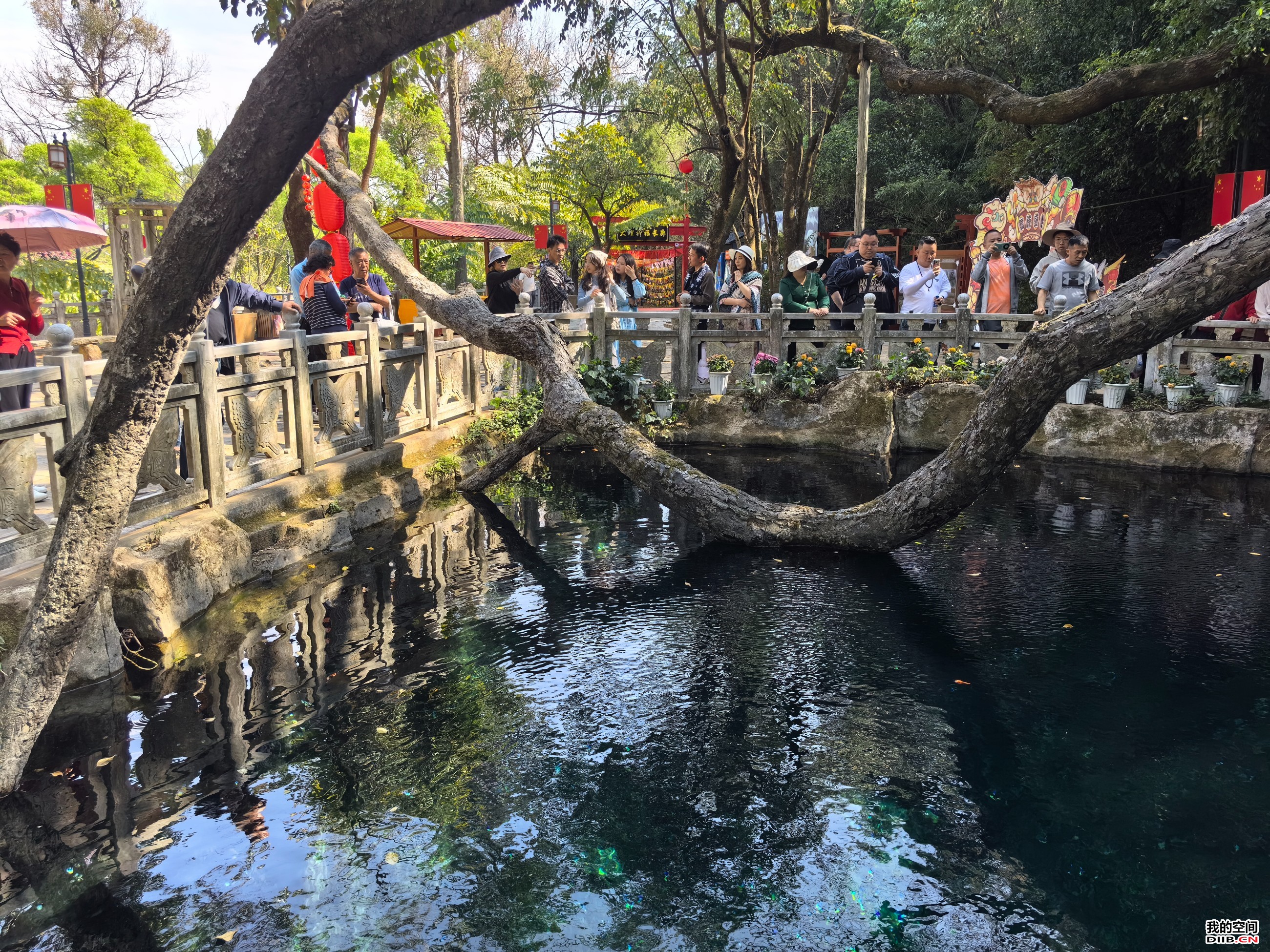 图片关键词