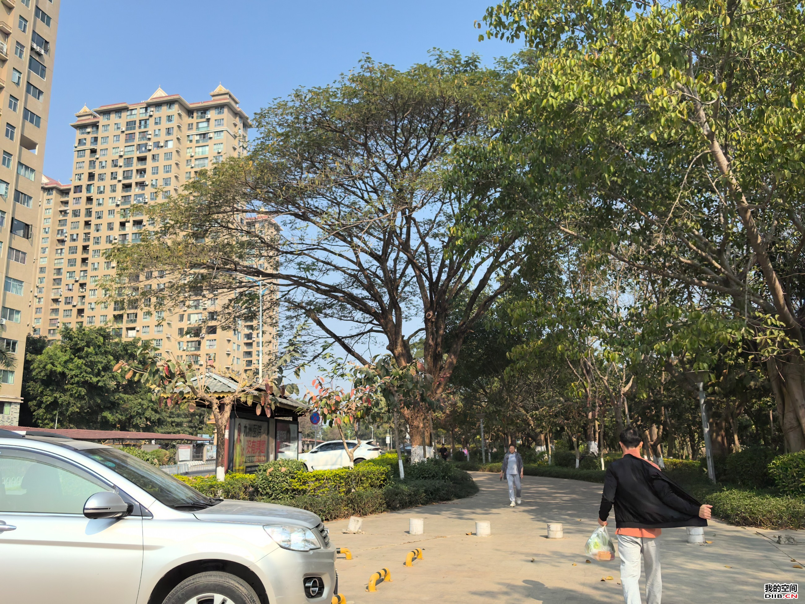 图片关键词