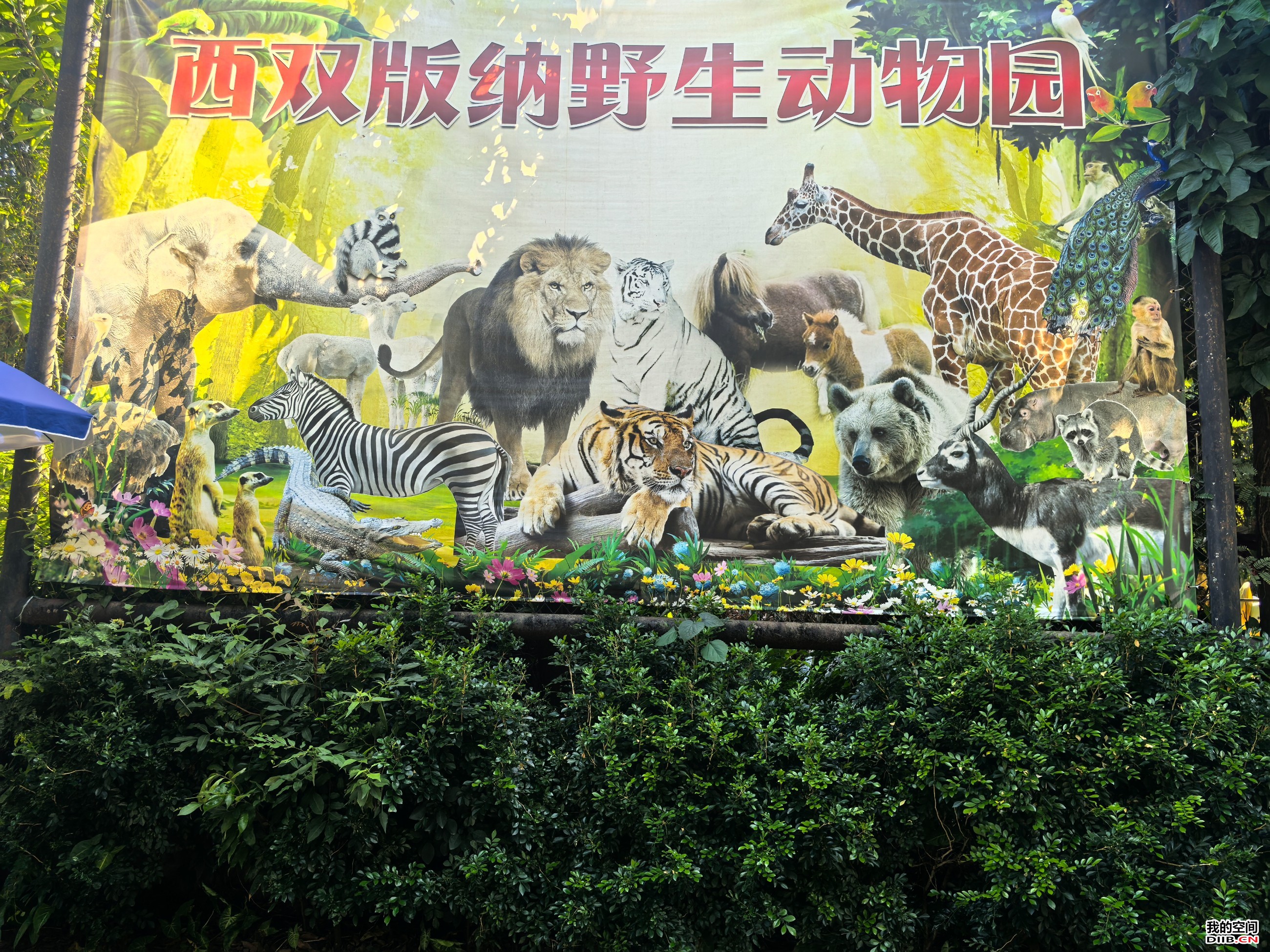 图片关键词 图片关键词