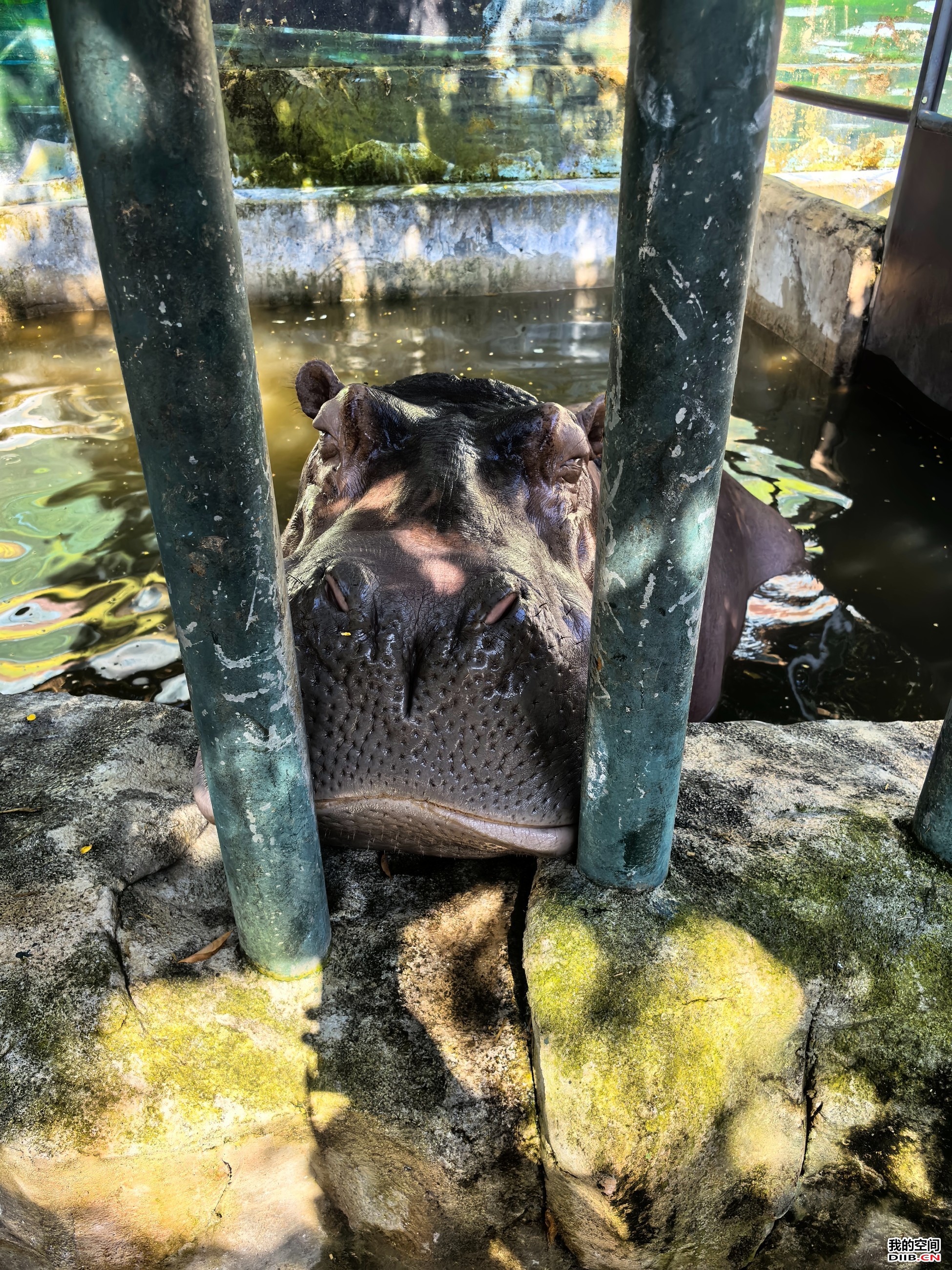 图片关键词 图片关键词