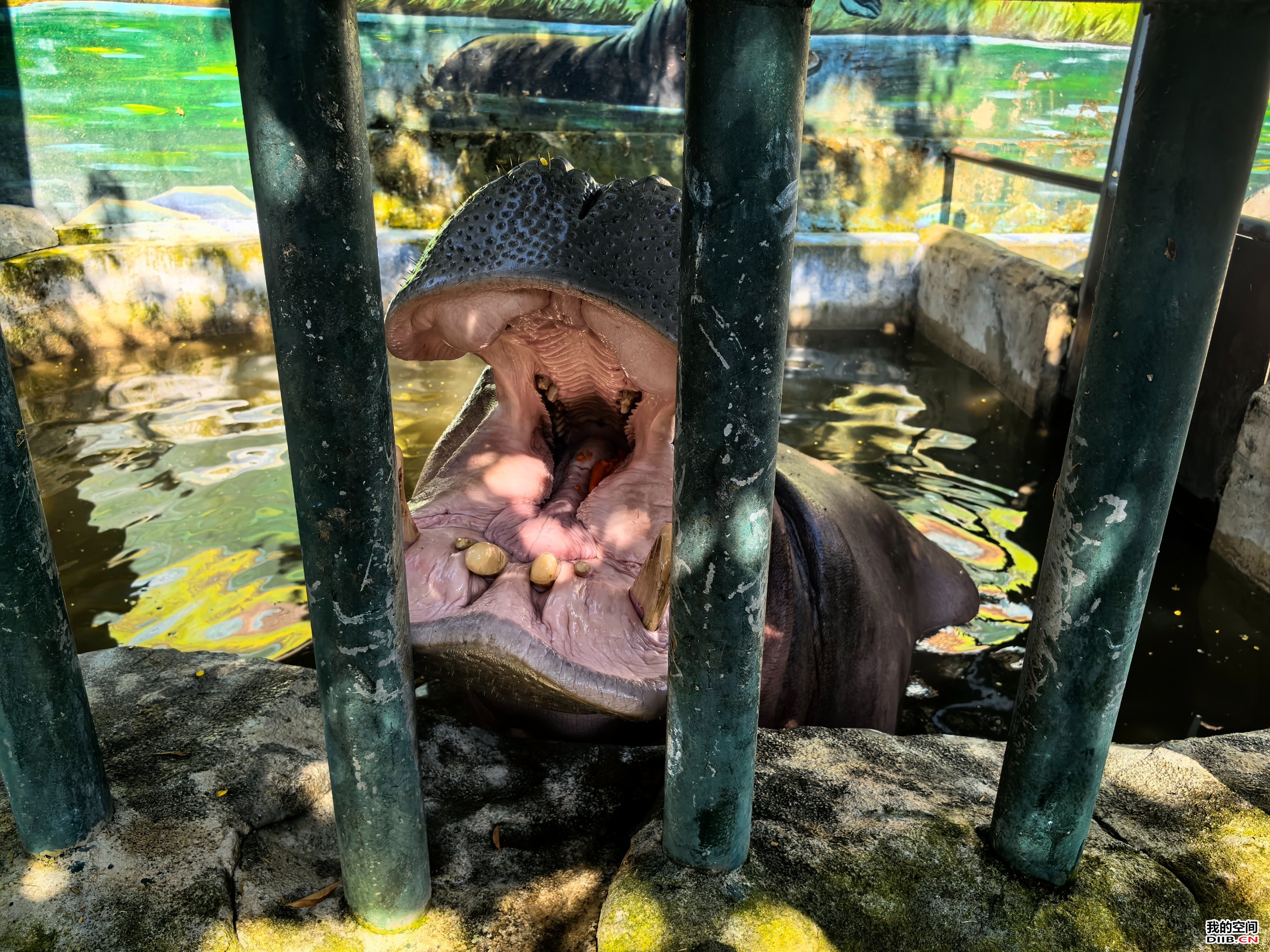 图片关键词 图片关键词