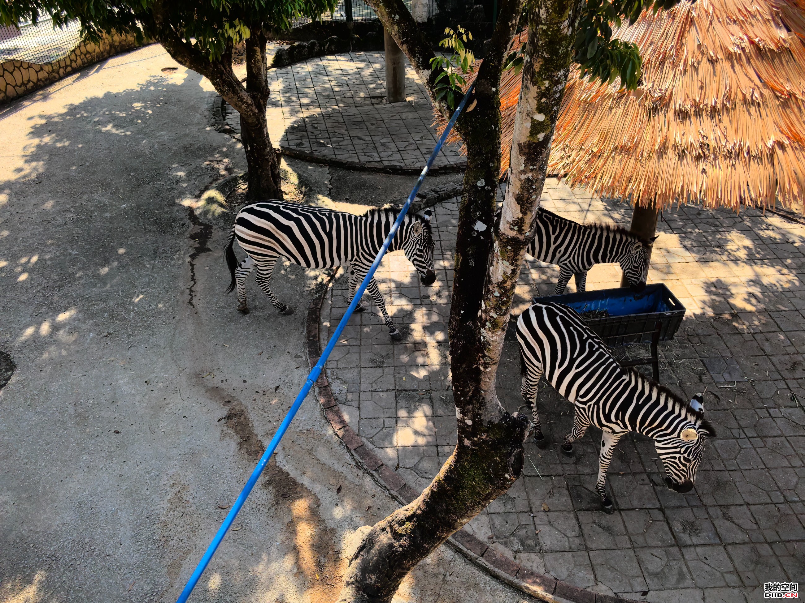 图片关键词 图片关键词