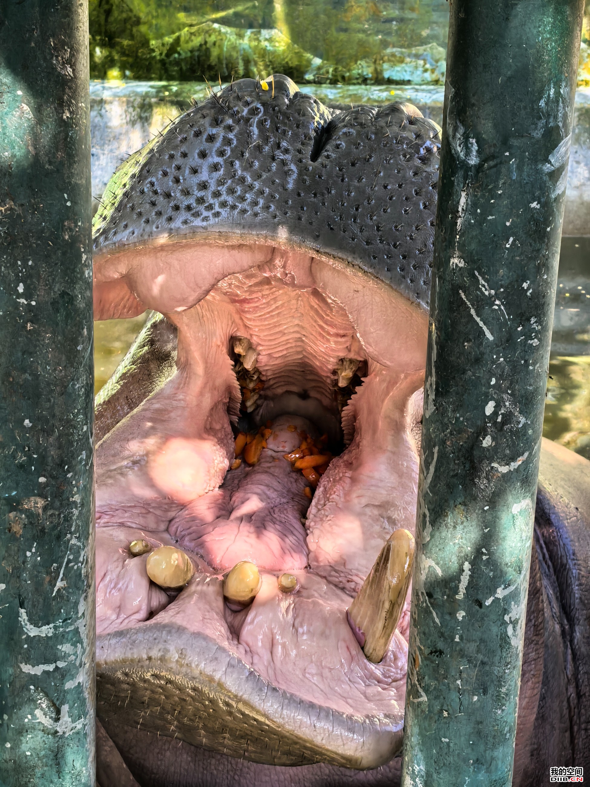 图片关键词 图片关键词