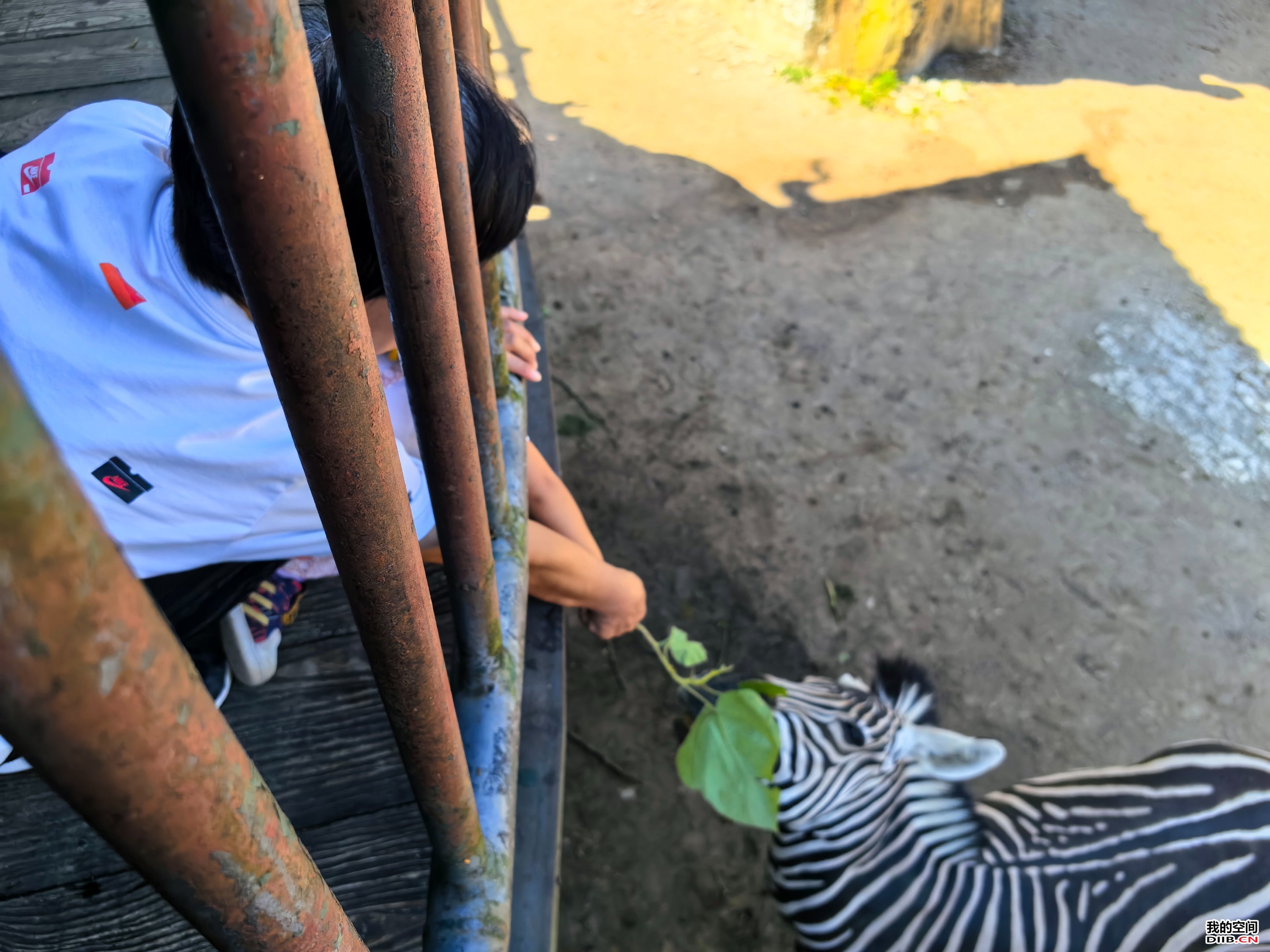 图片关键词 图片关键词