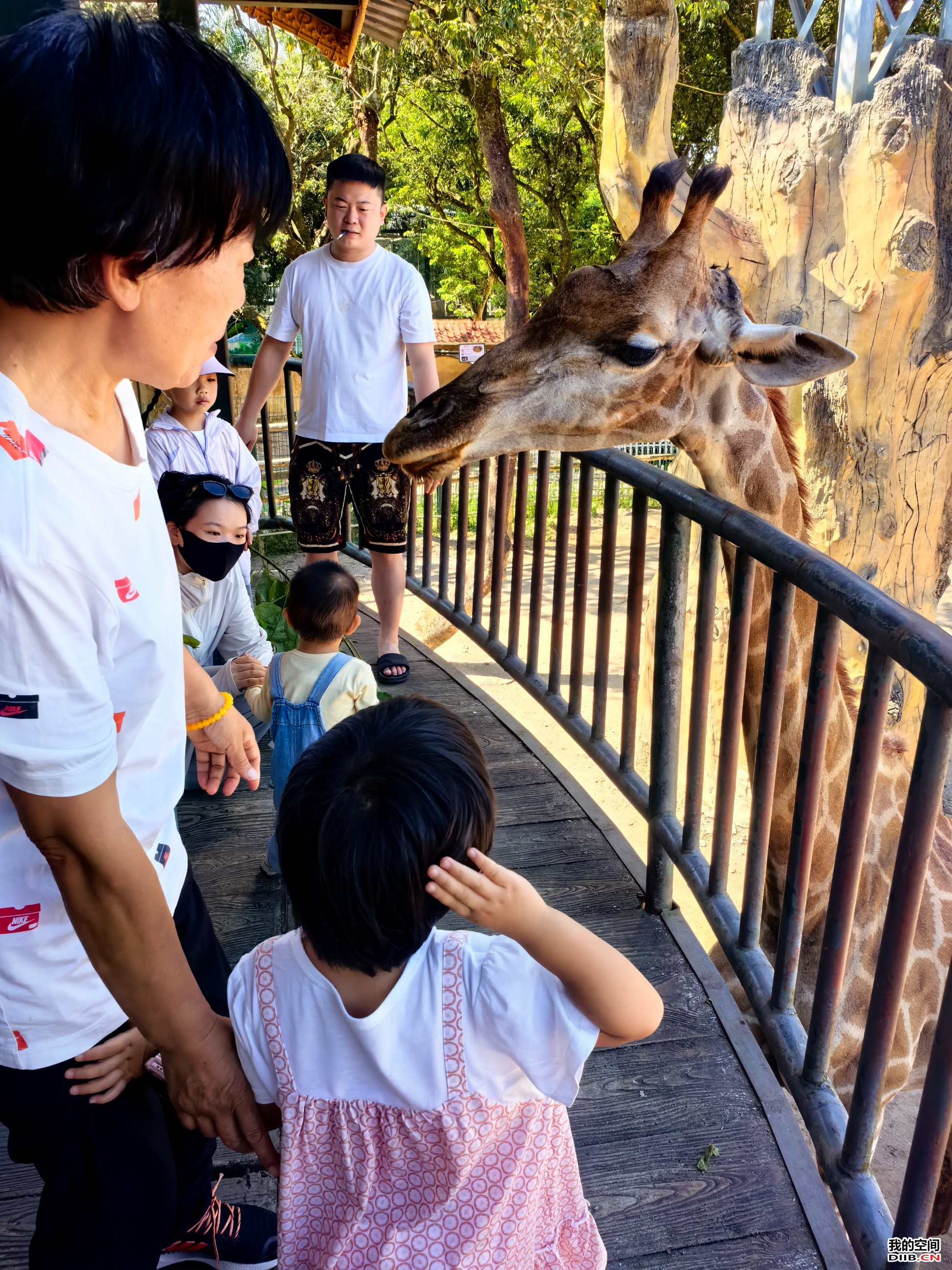 图片关键词 图片关键词