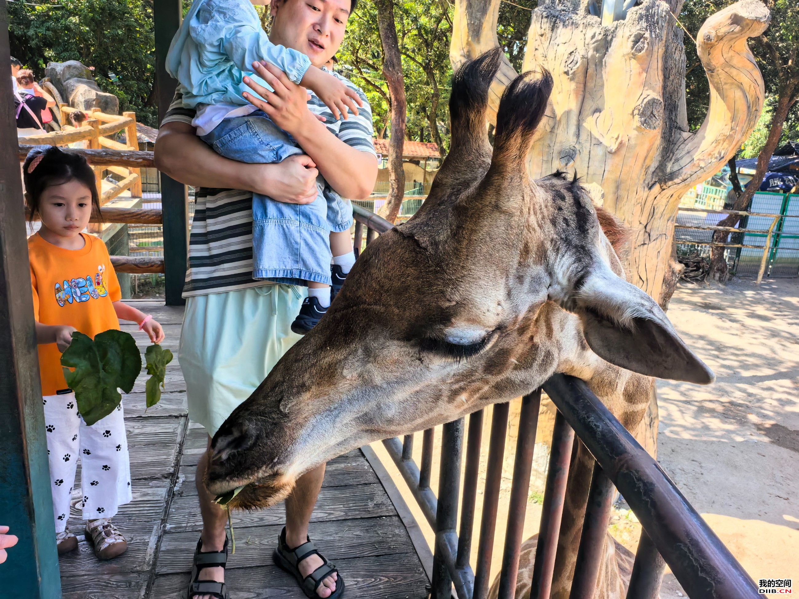 图片关键词 图片关键词