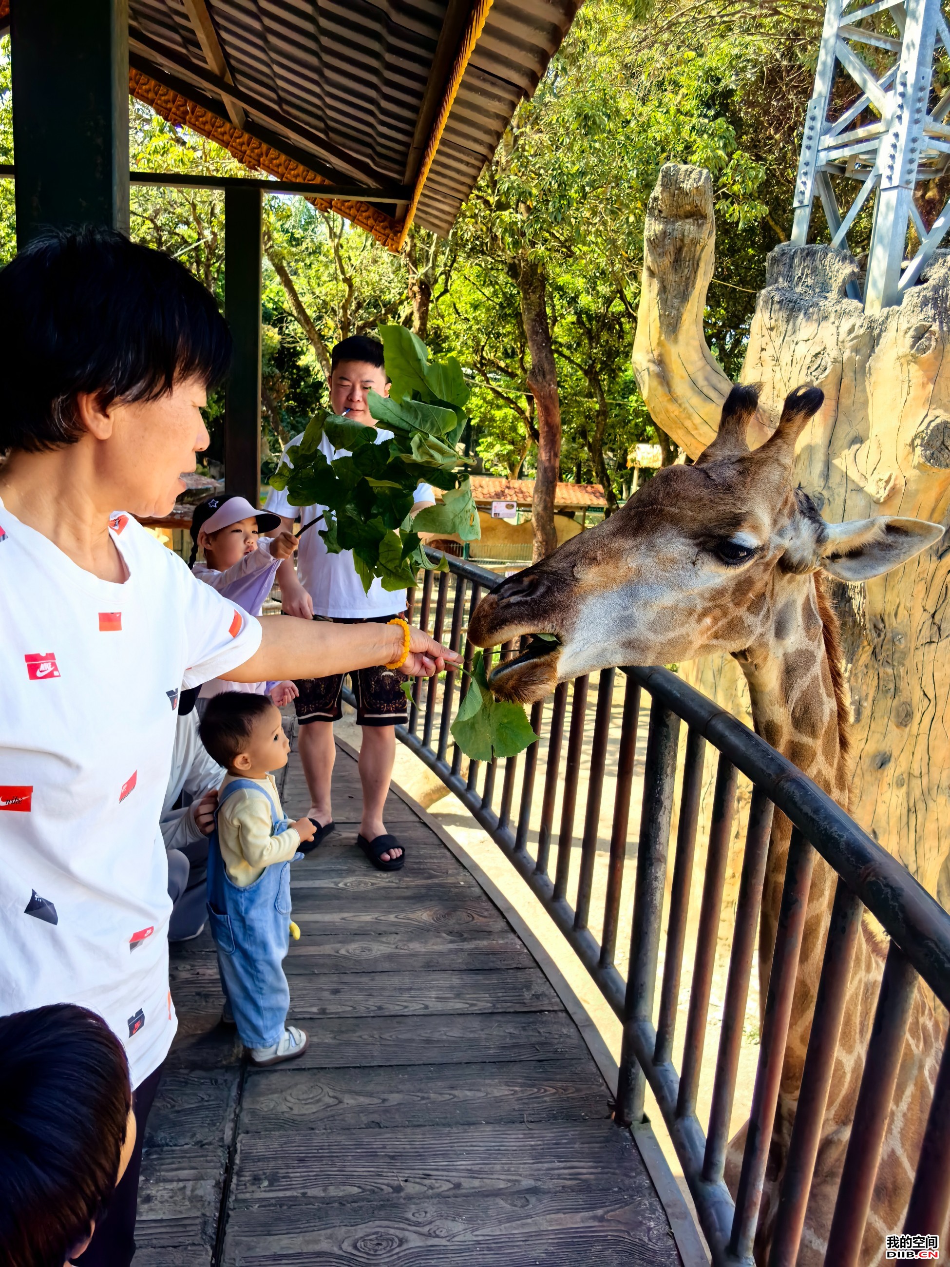 图片关键词 图片关键词