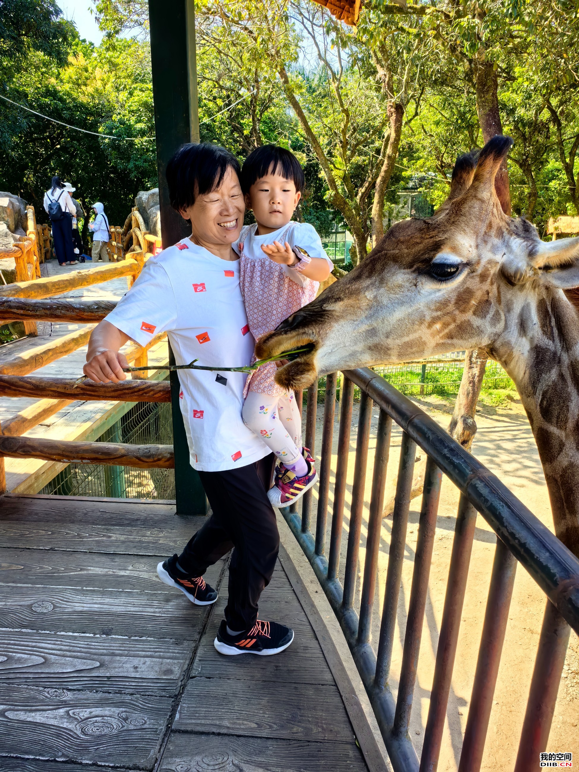 图片关键词 图片关键词