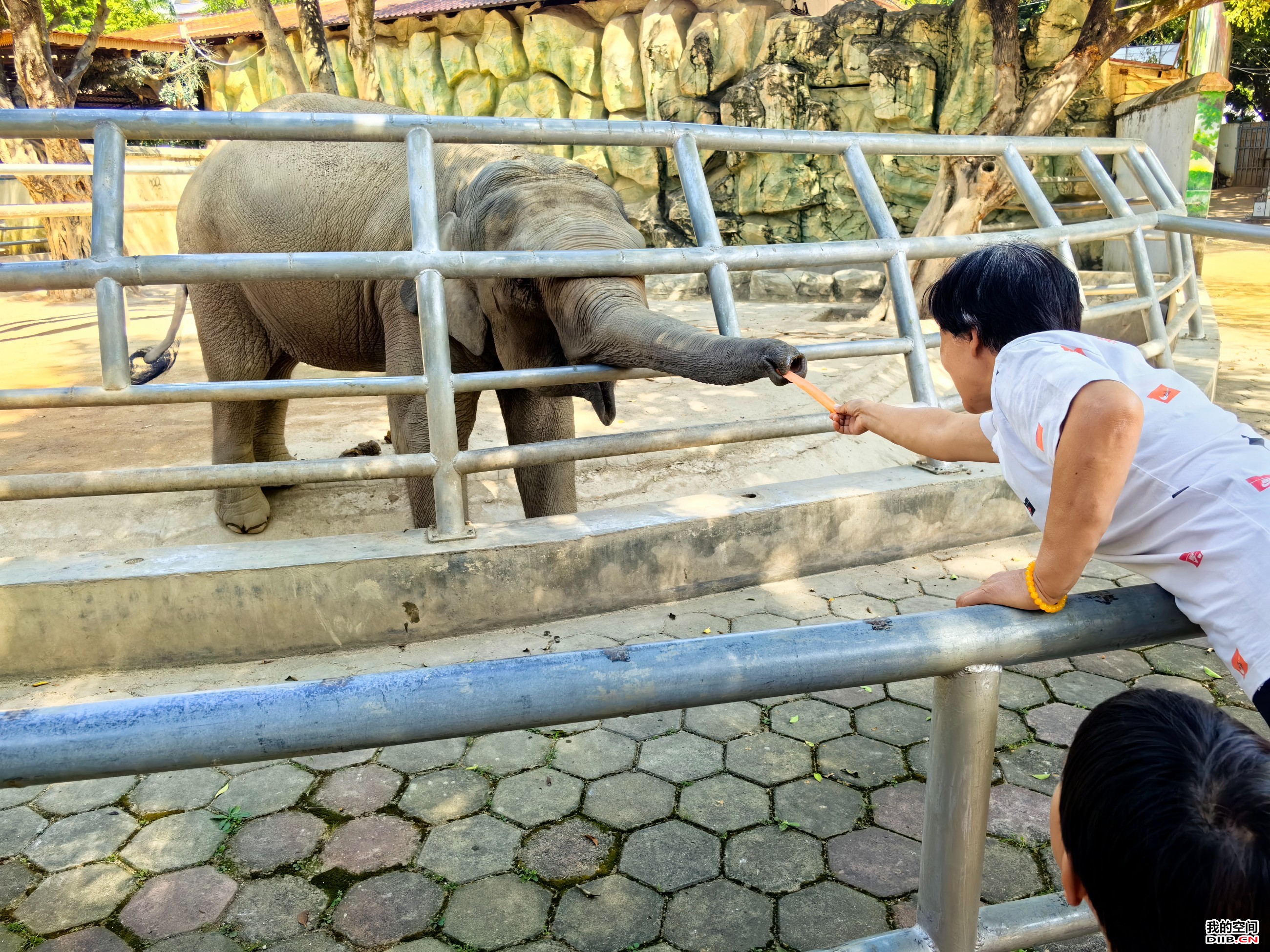 图片关键词 图片关键词