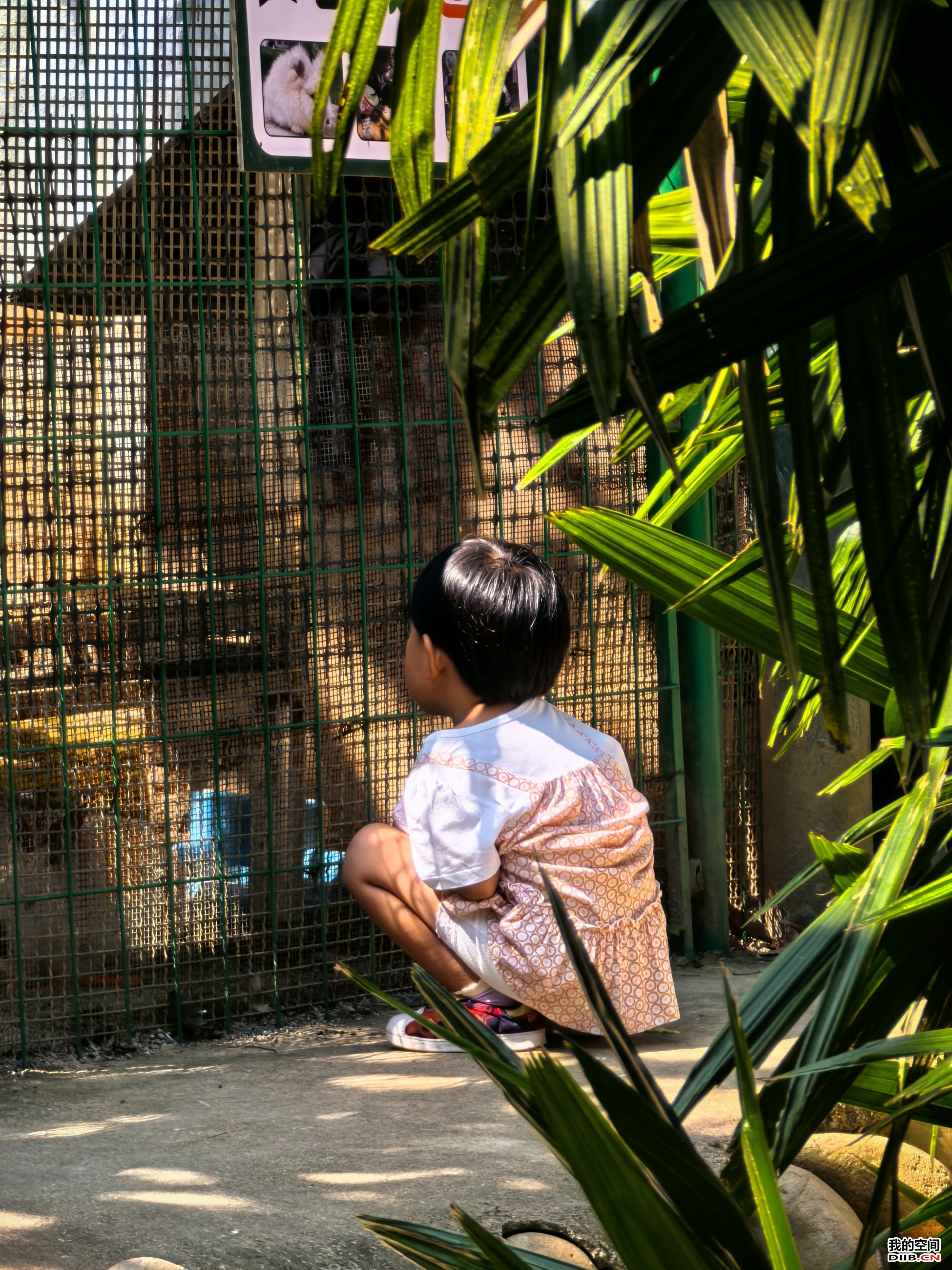 图片关键词 图片关键词