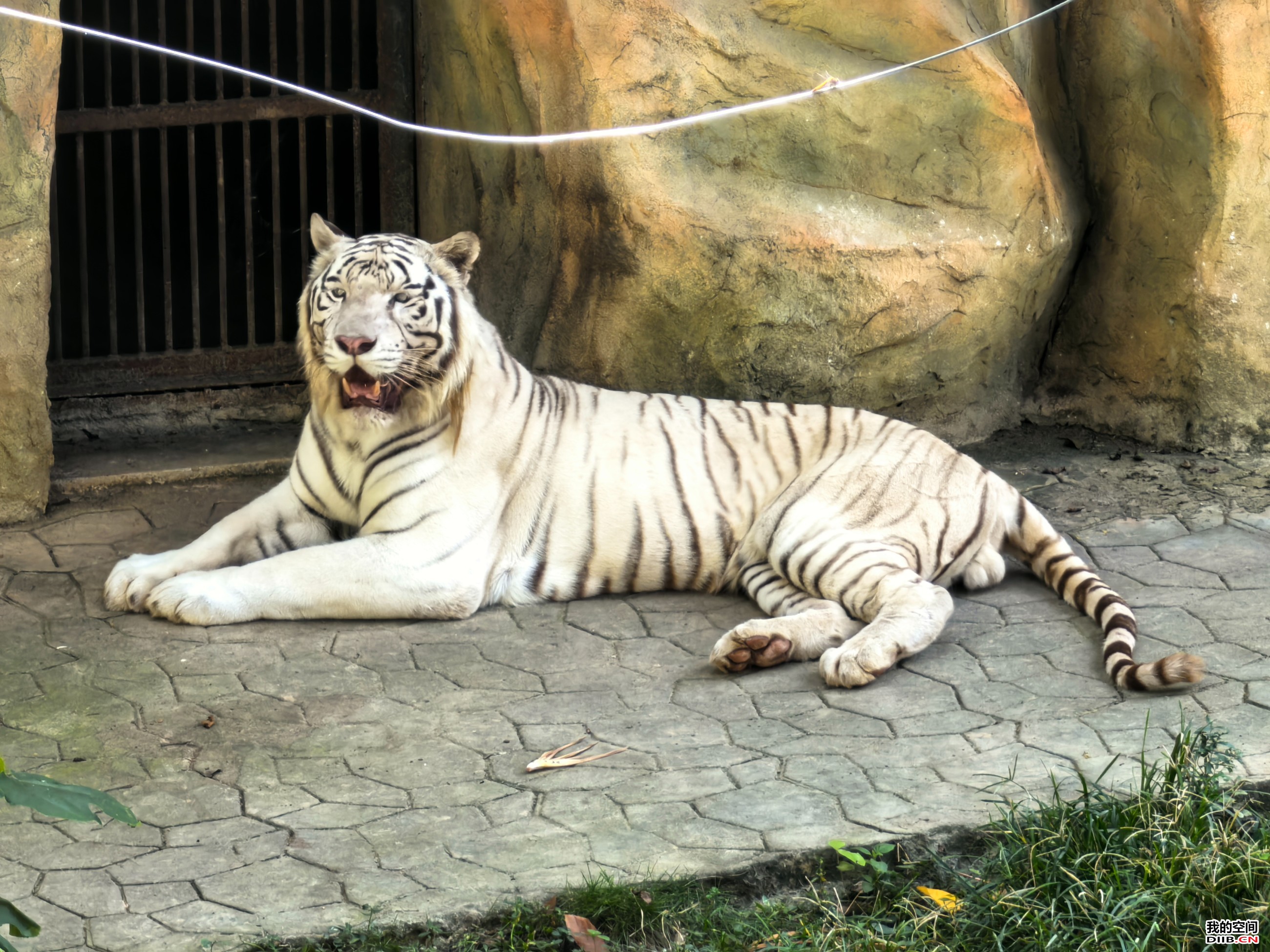 图片关键词 图片关键词