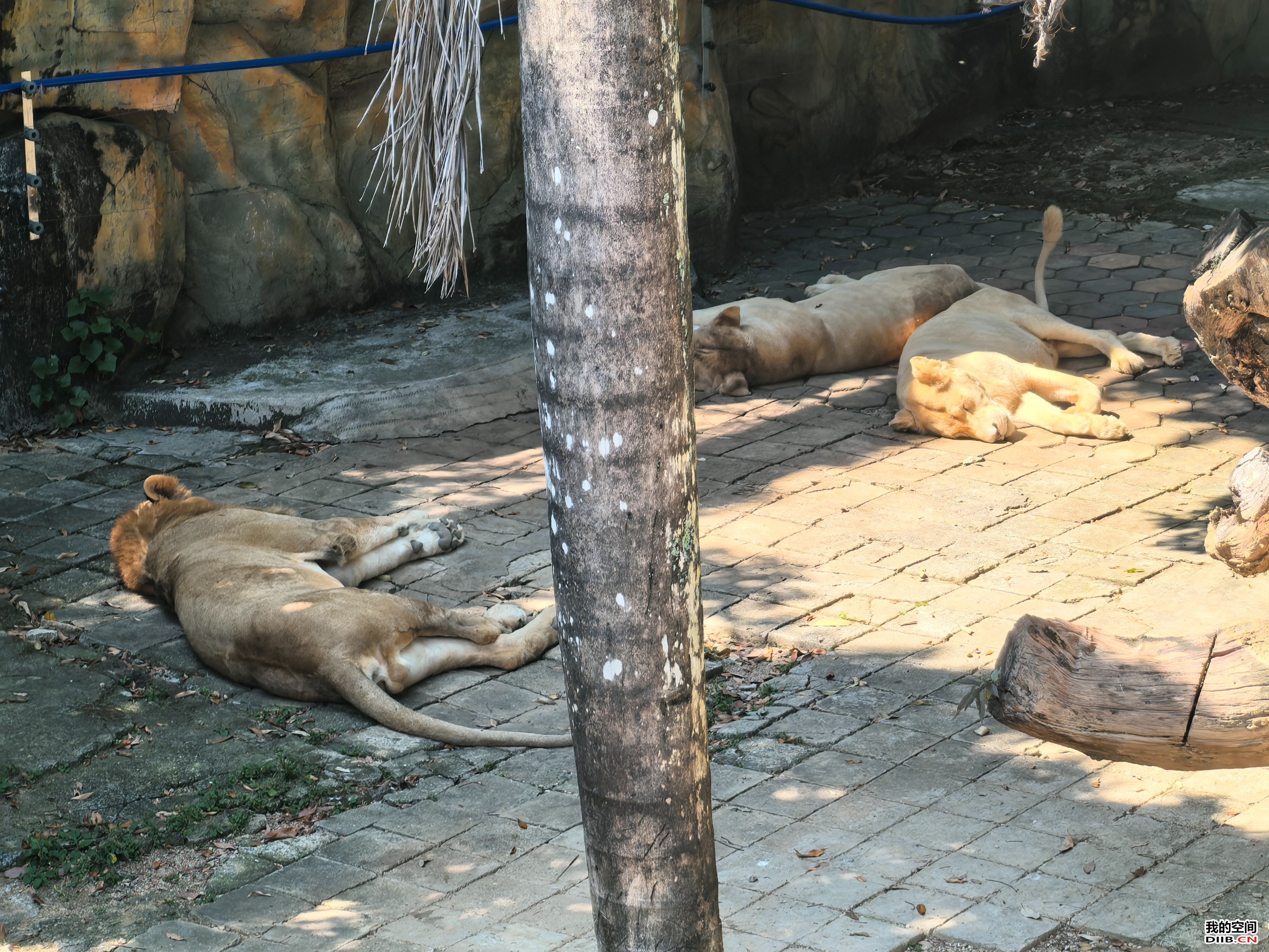 图片关键词 图片关键词