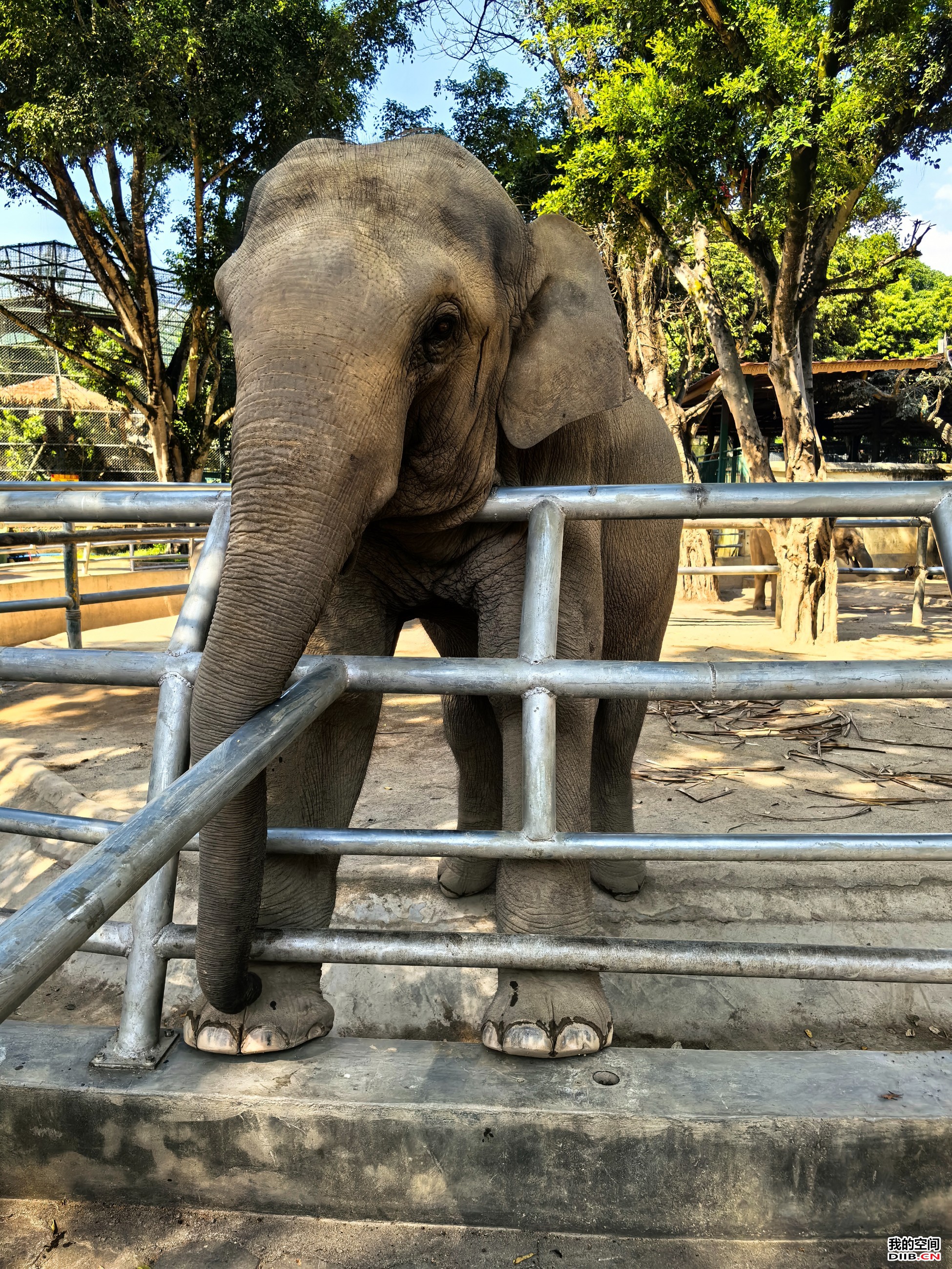 图片关键词 图片关键词