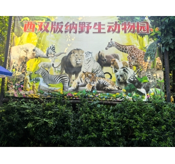 2025年10月29日再游云南西双版纳热带动物园