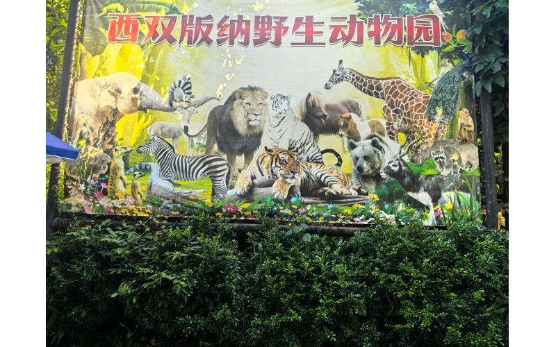 2025年10月29日再游云南西双版纳热带动物园